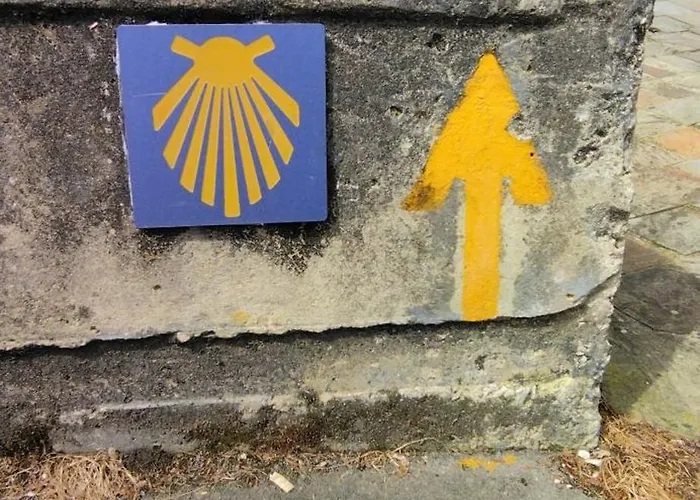 Su3no Cantabro Apto En אונקרה